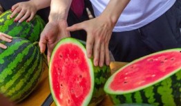 今日吃瓜全集完整版,揭秘娱乐圈幕后真相，带你领略明星们的真实生活